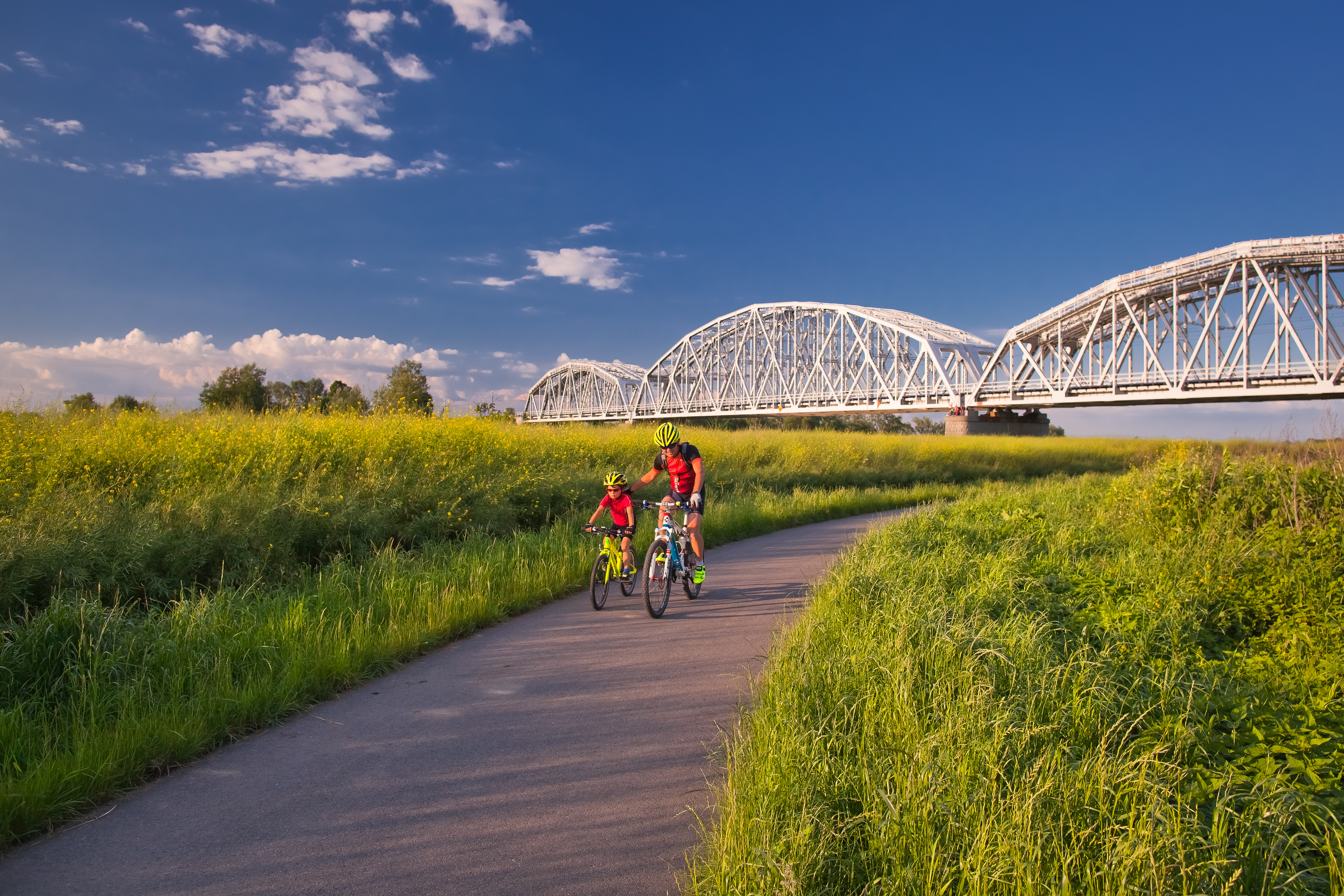 Ojciec i syn w kaskach i letnich strojach sportowych jadą rowerami po asfaltowej drodze rowerowej. Obok pole uprawne z rzepakiem, w głębi – most kolejowy. 