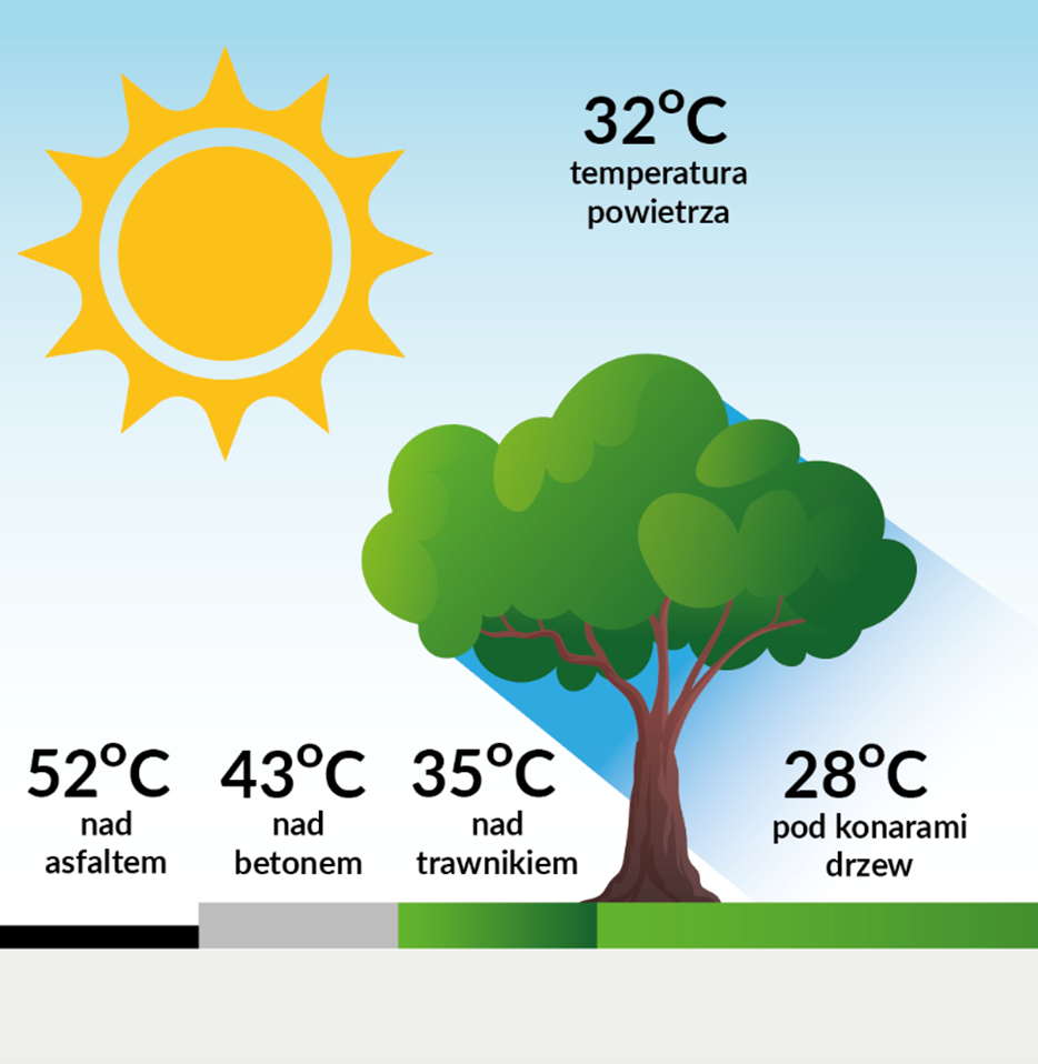 zielono-niebieskie rozwiązania lekarstwem na problemy klimatyczne