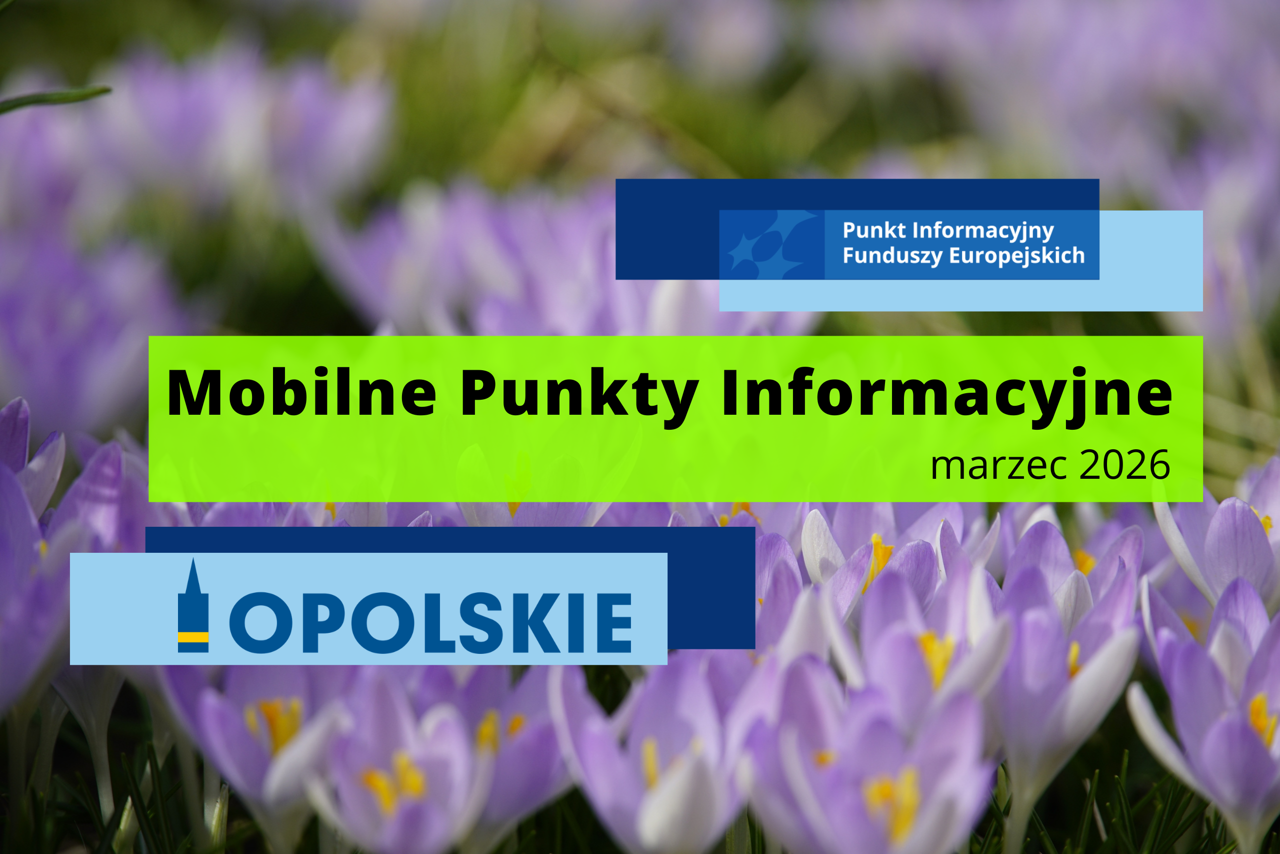 grafika przedstawia w tle zdjęcie fioletowych kwiatów; logo Sieci Punktów Informacyjnych Funduszy Europejskich, czarny napis na seledynowym tle Mobilne Punkty Informacyjne marzec 2026; logo opolskie 