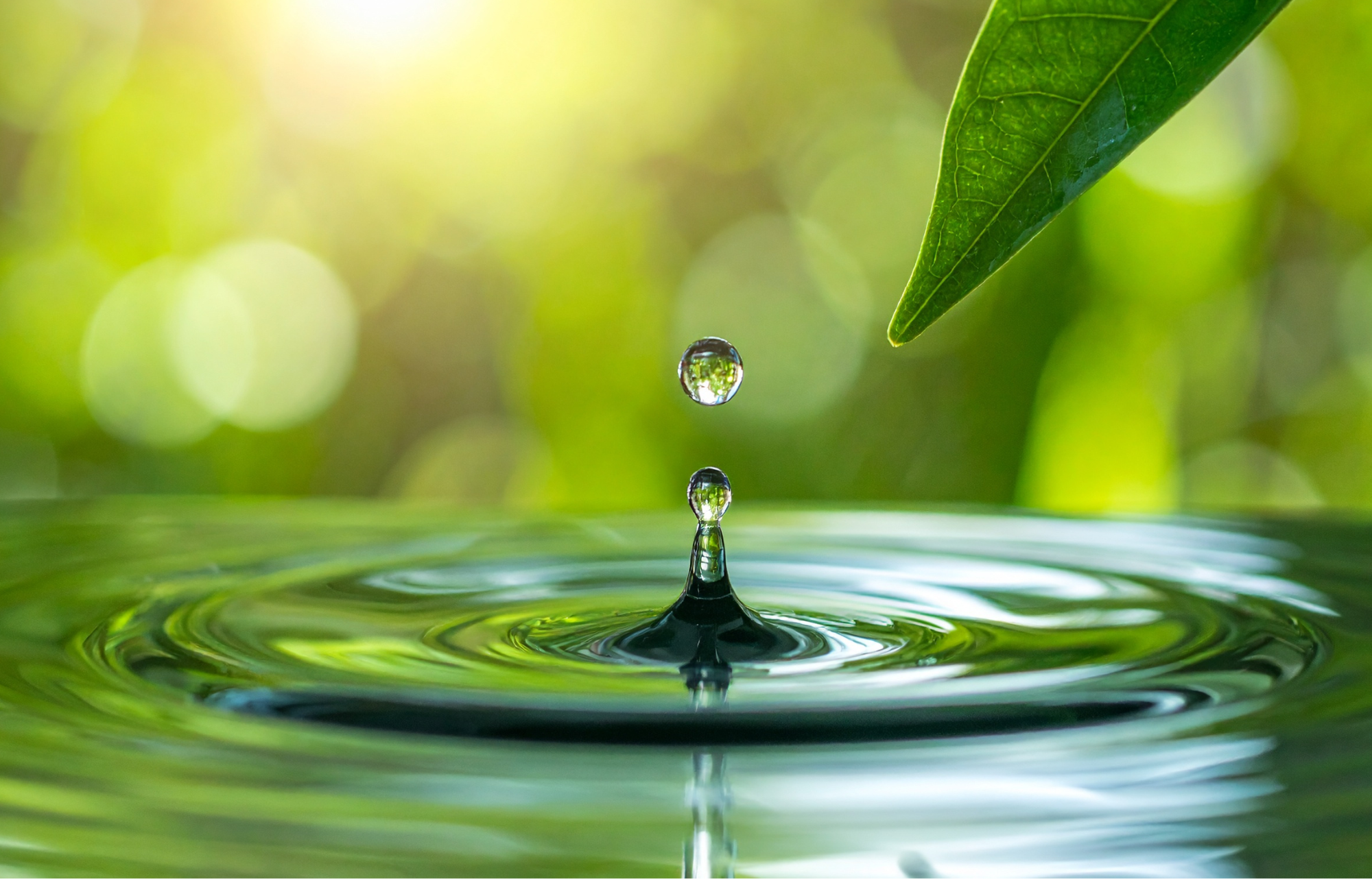 Zdjęcie przedstawia kroplę wody, która unosi nad zbiornikiem wodnym