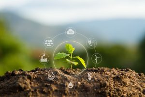 Roślinka wyrasta z ziemi, wokół niej znajdują się ikonki symbolizujące odnawialne źródła energii