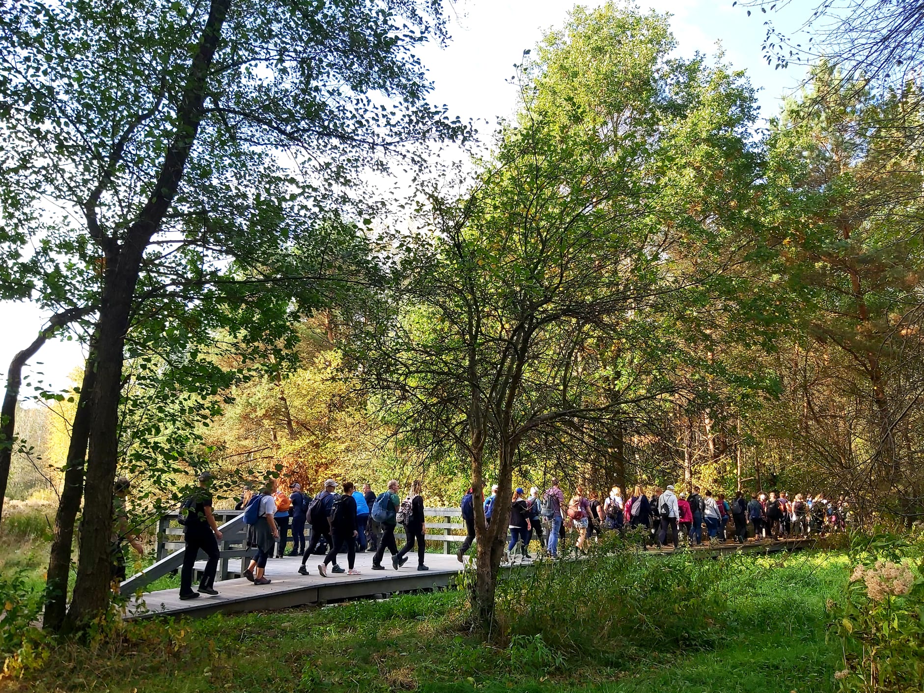 Park Narodowy