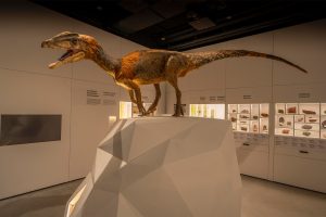 Wystawa muzealna, na wystawie dinozaur 