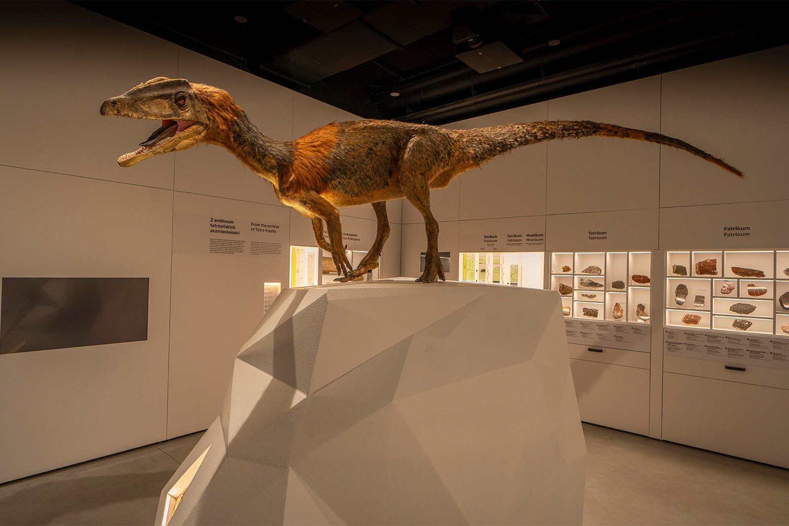 Wystawa muzealna, na wystawie dinozaur 